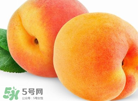 芭蕉和桃子能一起吃嗎？芭蕉可以和桃子一起吃嗎