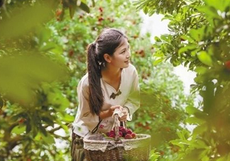 仙居楊梅在哪里？仙居楊梅哪里最好？