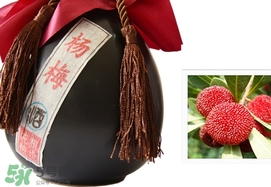 楊梅酒和青梅酒哪個(gè)好喝？楊梅酒和青梅酒區(qū)別