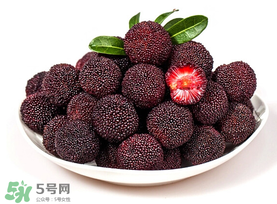 東魁楊梅多少錢一斤？東魁楊梅多少錢一斤2017？