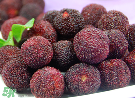 東魁楊梅多少錢一斤？東魁楊梅多少錢一斤2017？