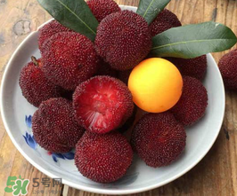 仙居楊梅幾月份上市？仙居楊梅什么時(shí)候上市？