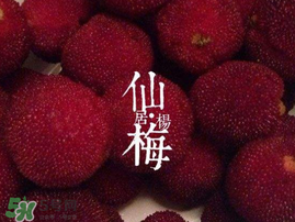 仙居楊梅多少錢(qián)一斤？仙居楊梅多少錢(qián)一斤2017？