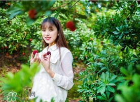 仙居楊梅在哪里？仙居楊梅哪里最好？