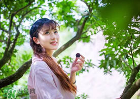 仙居楊梅在哪里？仙居楊梅哪里最好？