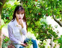 仙居楊梅在哪里？仙居楊梅哪里最好？