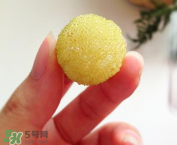 白楊梅多少錢一斤？白楊梅產(chǎn)地