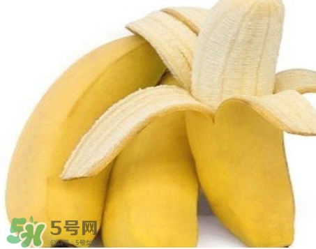 皇帝蕉多少錢(qián)一斤？2017皇帝蕉價(jià)格