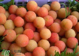 白楊梅可以泡酒嗎？白楊梅泡酒有什么功效？