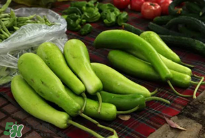 瓠子多少錢一斤？瓠子多少錢一斤2017？