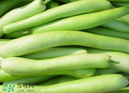 瓠子是什么？瓠子是什么意思？