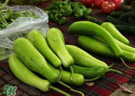 苦瓠子有毒嗎？苦瓠子中毒怎么辦？