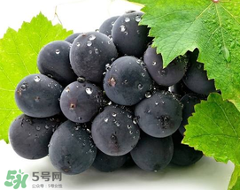 無籽葡萄有哪些品種？無籽葡萄多少錢一斤？