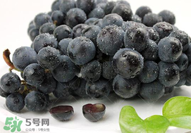 無籽葡萄有哪些品種？無籽葡萄多少錢一斤？