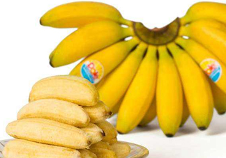 帝王蕉是芭蕉嗎？帝王蕉和芭蕉的區(qū)別