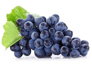 無籽葡萄有哪些品種？無籽葡萄多少錢一斤？