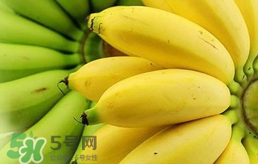 帝王蕉多少錢(qián)一斤？帝王蕉是轉(zhuǎn)基因香蕉嗎