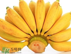 皇帝蕉是不是香蕉？皇帝蕉與普通香蕉區(qū)別