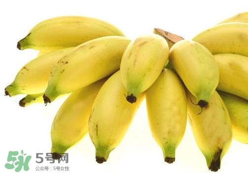 帝王蕉是芭蕉嗎？帝王蕉和芭蕉的區(qū)別