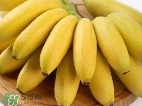 帝王蕉多少錢(qián)一斤？帝王蕉是轉(zhuǎn)基因香蕉嗎