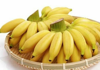 皇帝蕉是芭蕉嗎？皇帝蕉和芭蕉的區(qū)別