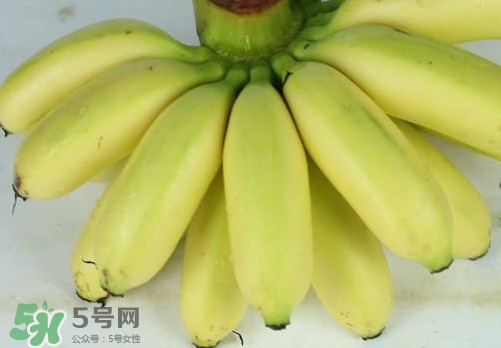 帝王蕉和皇帝蕉有區(qū)別嗎？帝王蕉和普通香蕉區(qū)別