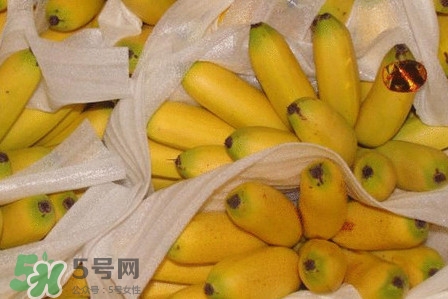 皇帝蕉是不是香蕉？皇帝蕉與普通香蕉區(qū)別