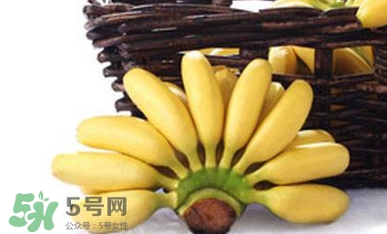 帝王蕉是芭蕉嗎？帝王蕉和芭蕉的區(qū)別