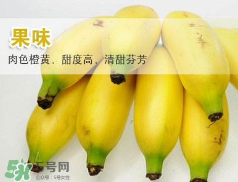 皇帝蕉多少錢(qián)一斤？2017皇帝蕉價(jià)格