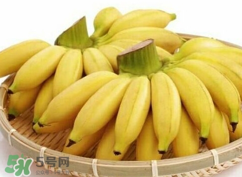 皇帝蕉是芭蕉嗎？皇帝蕉和芭蕉的區(qū)別