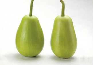 苦瓠子有毒嗎？苦瓠子中毒怎么辦？