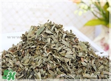 油柑葉枕頭適合嬰兒嗎?油柑葉枕頭功效 油柑葉枕頭適合嬰兒嗎?油柑葉枕頭功效