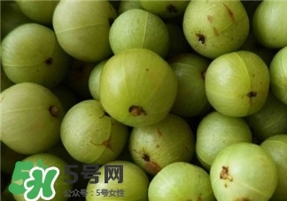 油柑是什么?油柑怎么腌制好吃? 油柑是什么?油柑怎么腌制好吃?