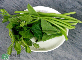 南瓜葉怎么處理？南瓜葉怎么炒？