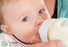 世界一線的奶粉品牌有哪些？全球一流的品牌奶粉有哪些？