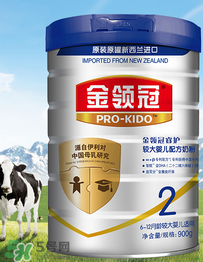 伊利金領(lǐng)冠睿護(hù)奶粉怎么樣 伊利金領(lǐng)冠睿護(hù)奶粉好嗎？