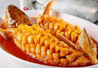 松鼠魚是哪里的菜？松鼠魚是什么菜系？