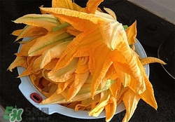 南瓜花有什么作用？南瓜花的作用及禁忌