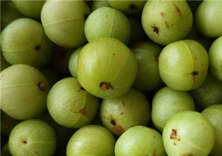 油柑葉枕頭適合嬰兒嗎?油柑葉枕頭功效