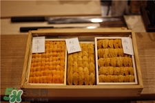 海膽黃的作用 海膽黃的功效 海膽黃的作用 海膽黃的功效