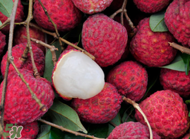 荔枝空腹吃有什么危害？為什么空腹吃荔枝不好？