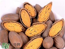 香榧子的功效 香榧子的作用 香榧子的功效 香榧子的作用