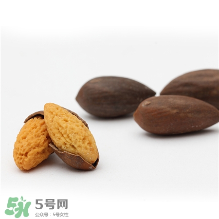 香榧是什么?香榧子有什么價(jià)值 香榧是什么?香榧子有什么價(jià)值