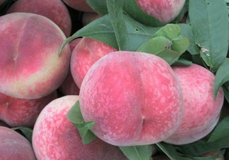 毛桃熱量高嗎？一個毛桃的熱量