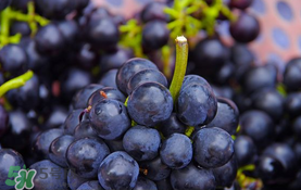 無(wú)籽葡萄小孩能吃嗎？寶寶能吃無(wú)籽葡萄嗎？