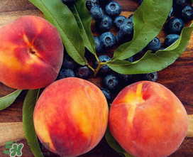 藍莓和桃子能一起吃嗎？藍莓和桃子能一塊吃嗎？