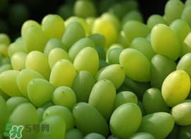 青提怎么洗？青提怎么洗才干凈？