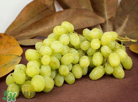 青提怎么洗？青提怎么洗才干凈？