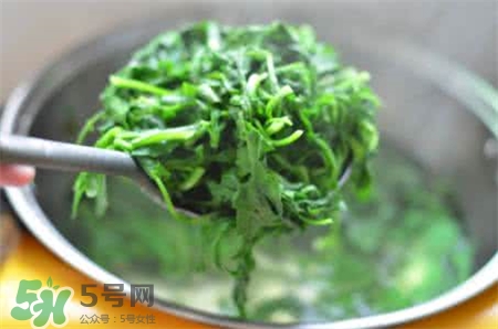 薺薺菜是什么菜?薺薺菜怎么吃? 薺薺菜是什么菜?薺薺菜怎么吃?