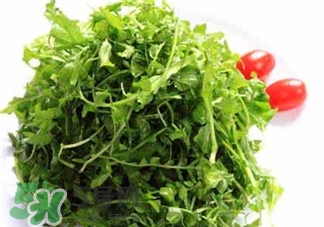 薺薺菜的營(yíng)養(yǎng)價(jià)值 薺薺菜的藥用價(jià)值 薺薺菜的營(yíng)養(yǎng)價(jià)值 薺薺菜的藥用價(jià)值